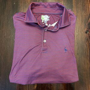 Tailorbyrd Men's Polo Shirt - Red and Blue Stripes